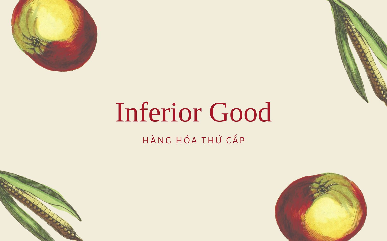 Hàng hóa thứ cấp (Inferior Good) là gì? Ví dụ về hàng hóa thứ cấp - Ảnh 1.